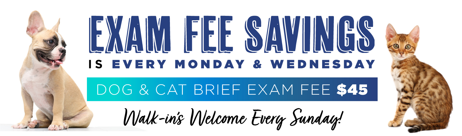 0323_Cascades_exam_fee_savings_header