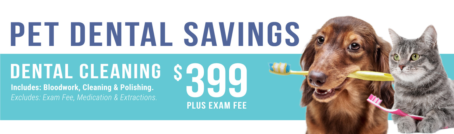 0625_Cascades_pet_dental_savings_web_header