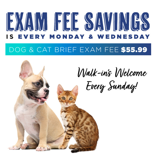 0825_Cascades_exam_fee_savings_mobile_header