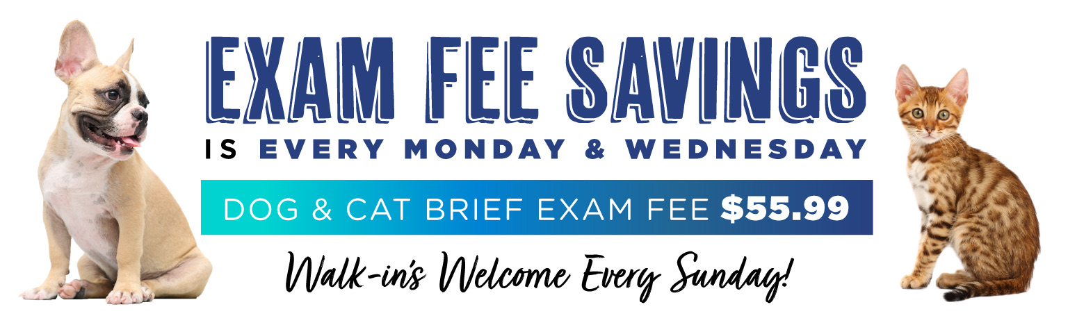 0825_Cascades_exam_fee_savings_web_header